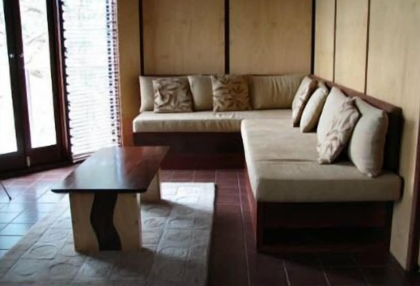 فندق The Odd Frog