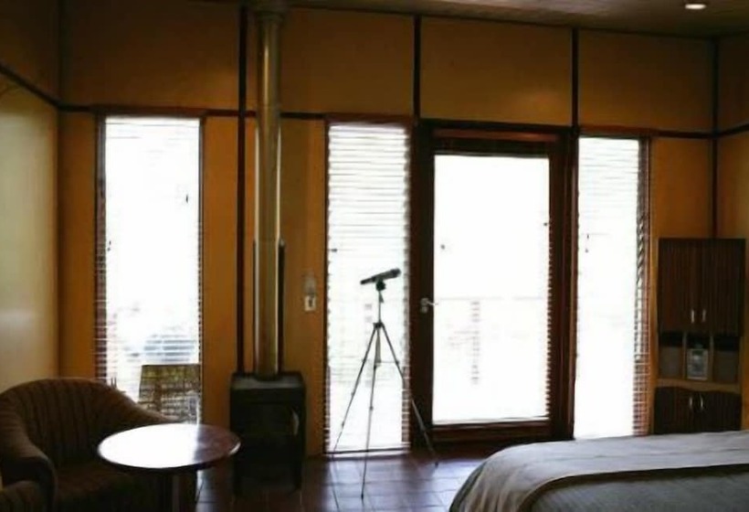 فندق The Odd Frog