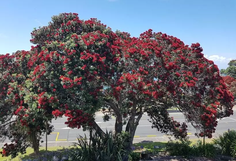 Motelli Whangaparaoa Lodge