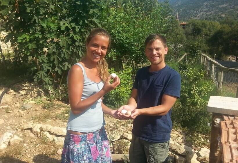 پانسیون Beymelek Taş Evler