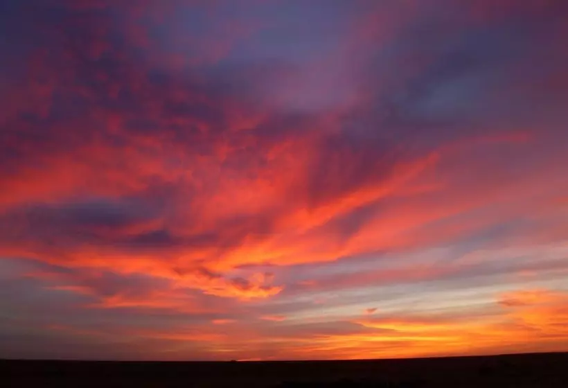 ペンション Corynnia Station