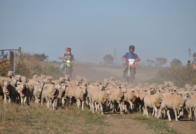 بنسيون Corynnia Station