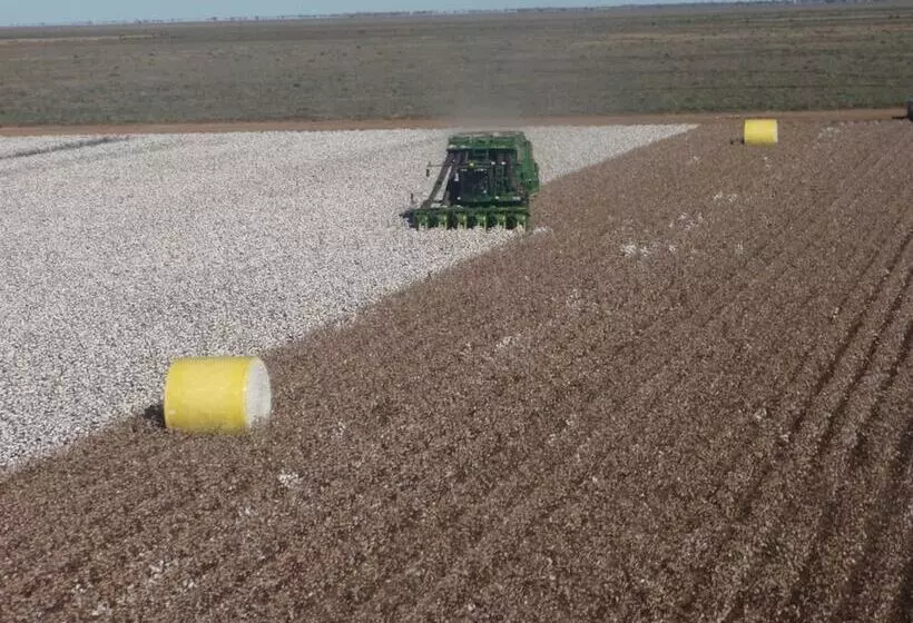 ペンション Corynnia Station