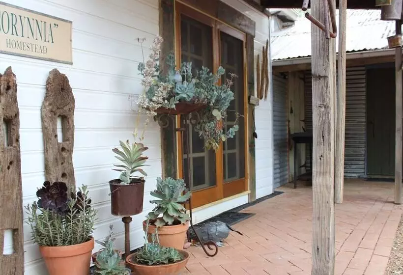 ペンション Corynnia Station