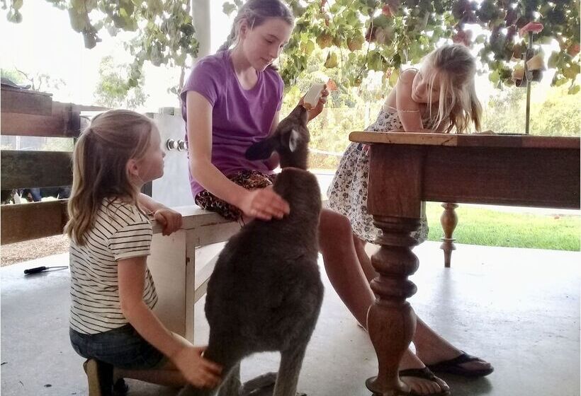 بنسيون Corynnia Station