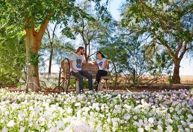 ペンション Corynnia Station