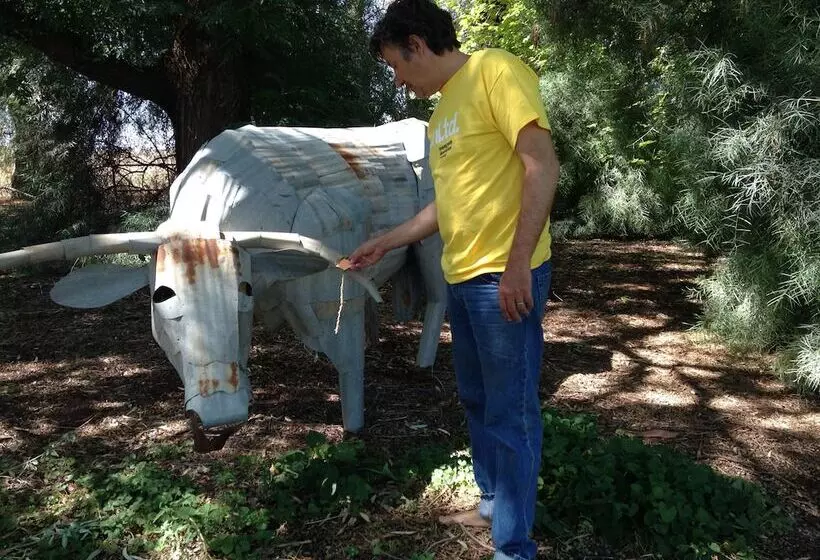 ペンション Corynnia Station