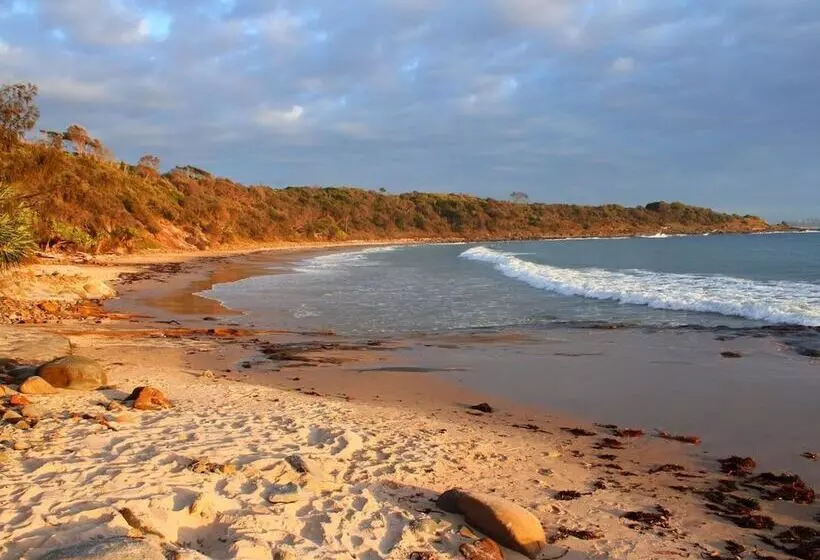 Plantation Retro Motel Tyndale