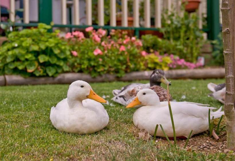 منتجع Warragul Gardens Holiday Park