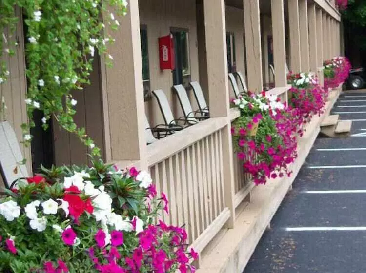 Tall Pines Motel