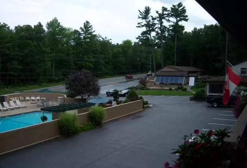 Tall Pines Motel