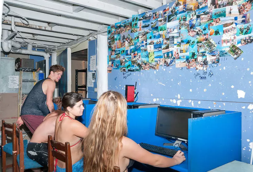 Alberg Reef Backpackers