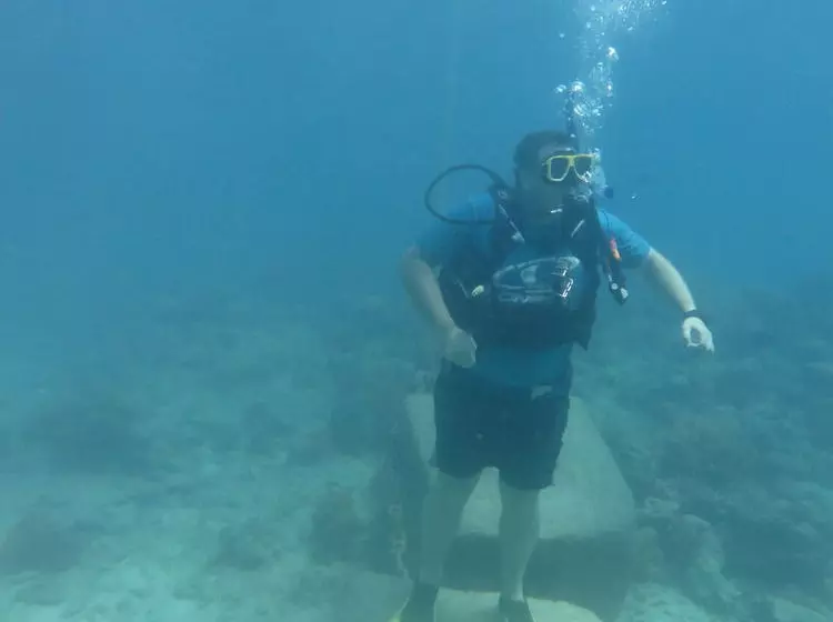 Alberg Reef Backpackers