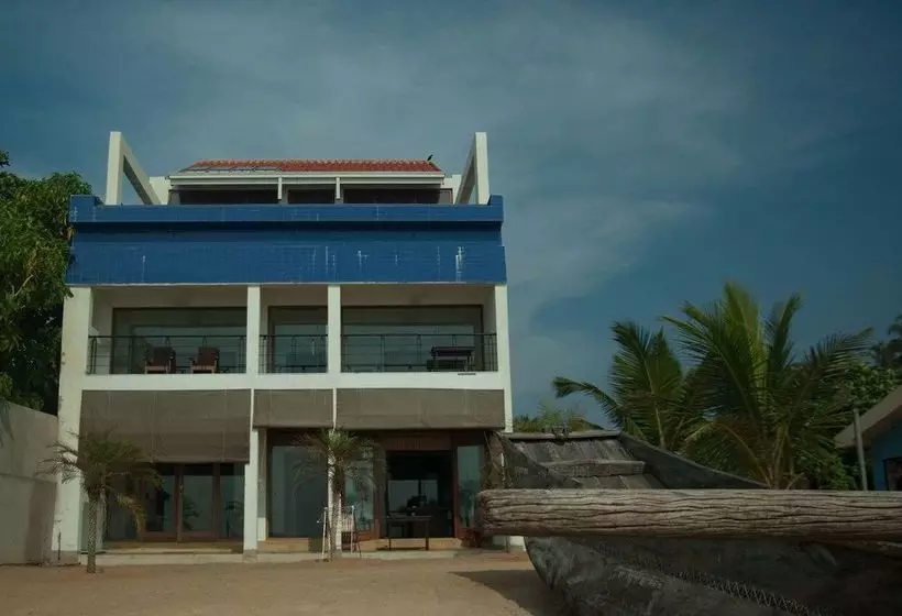 The Cove