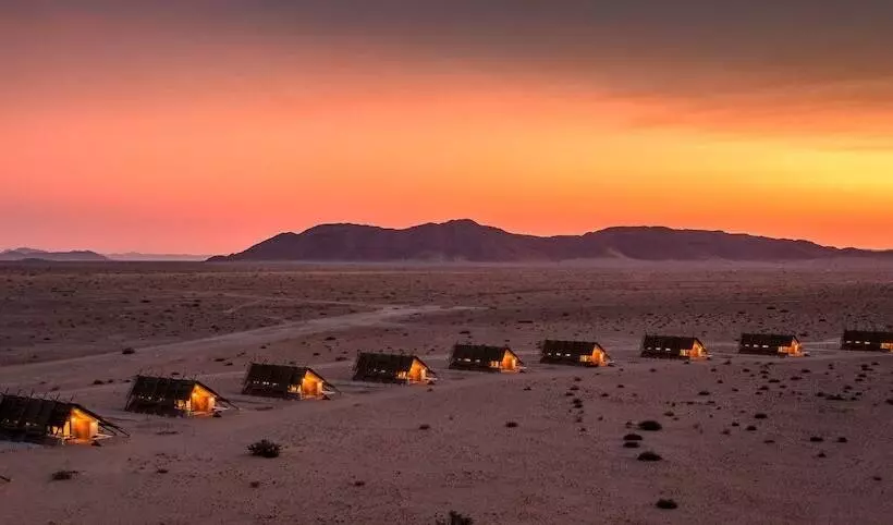 Desert Quiver Camp