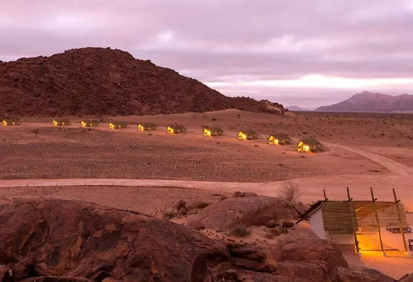 Desert Quiver Camp