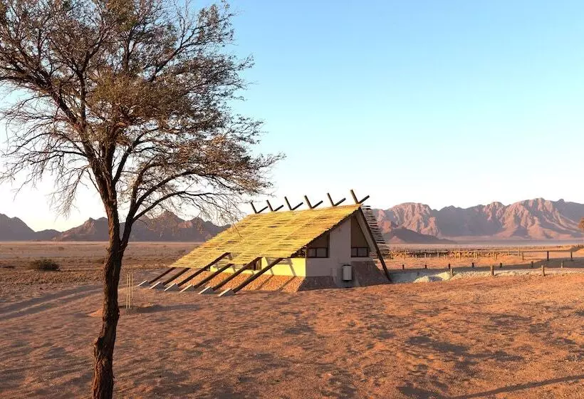 Desert Quiver Camp