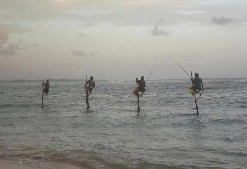 בית מלון כפרי Anara Villa