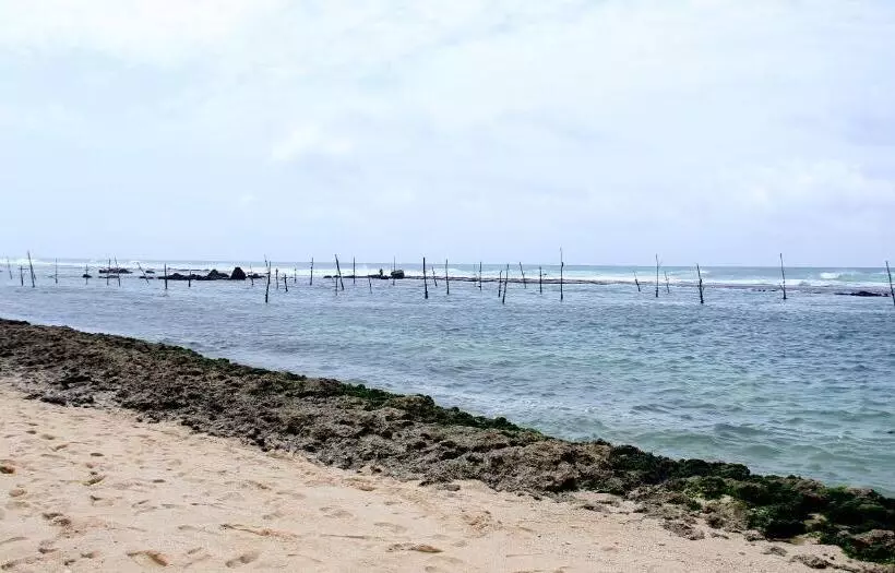 בית מלון כפרי Anara Villa