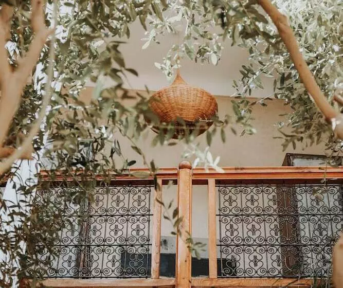 هتل Dar Nour El Houda