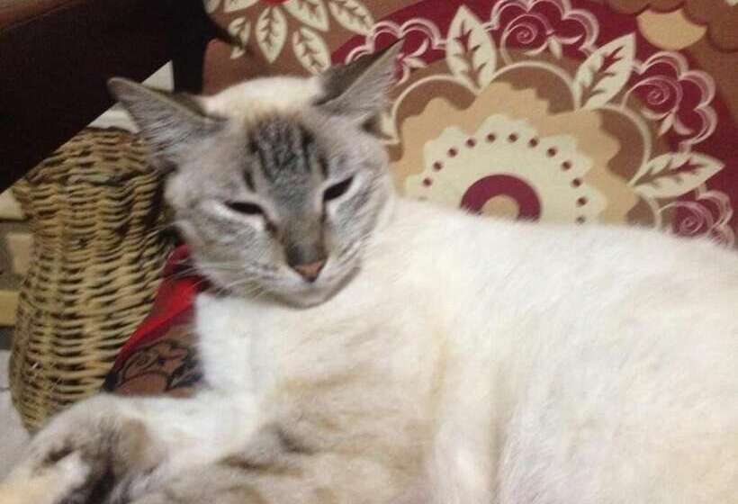 Hotel Pousada Mar E Sol