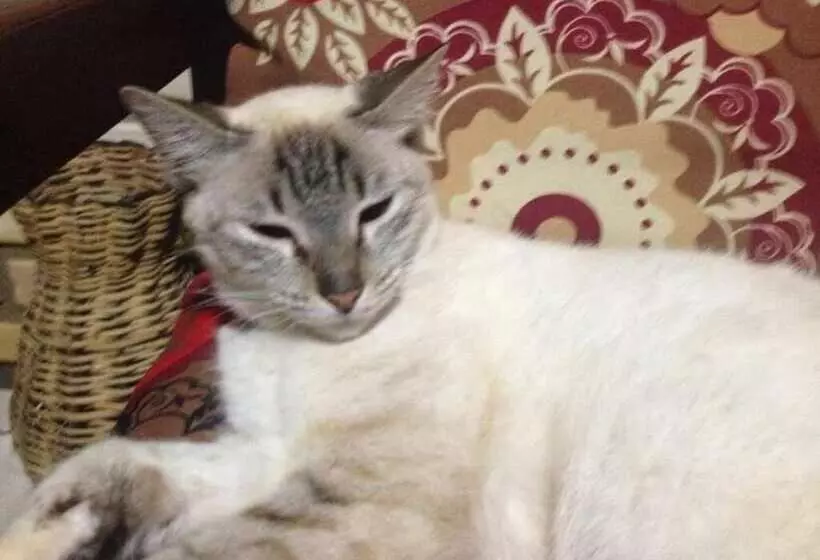 هتل Pousada Mar E Sol