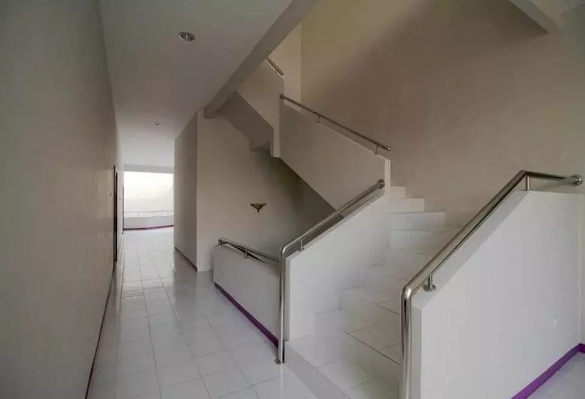 בית מלון כפרי Twin Star