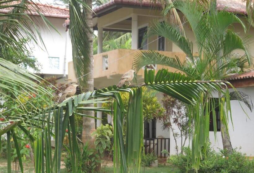 بنسيون Beach Lagoon Guesthouse