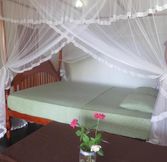 بنسيون Beach Lagoon Guesthouse