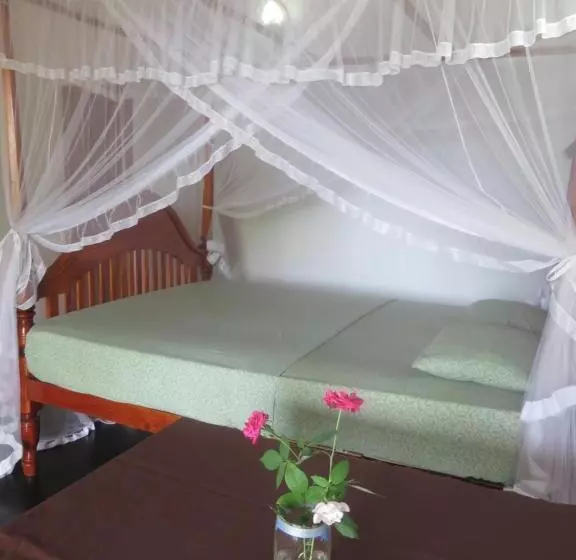 ペンション Beach Lagoon Guesthouse