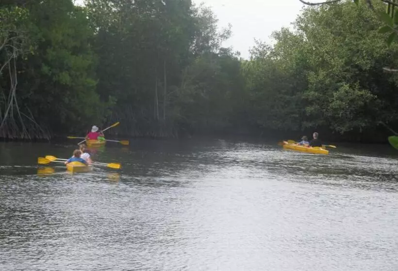 ペンション Beach Lagoon Guesthouse