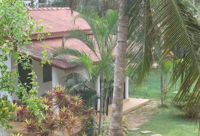 ペンション Beach Lagoon Guesthouse