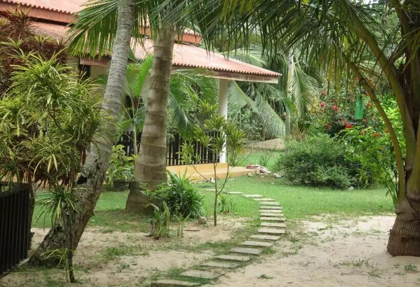 ペンション Beach Lagoon Guesthouse