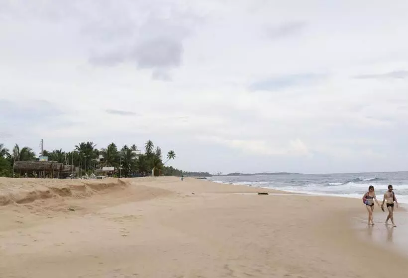 ペンション Beach Lagoon Guesthouse