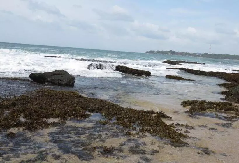 ペンション Beach Lagoon Guesthouse