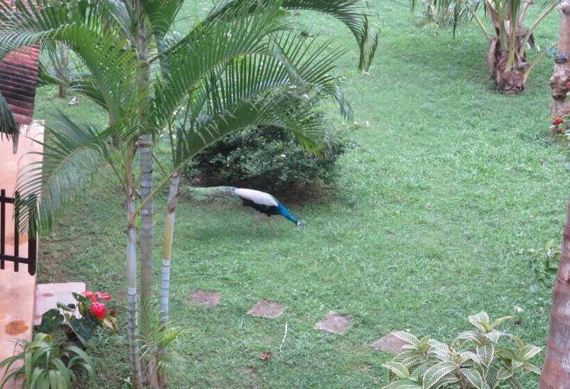 بنسيون Beach Lagoon Guesthouse