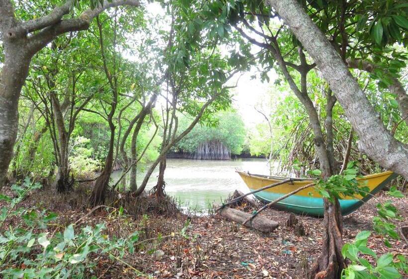 بنسيون Beach Lagoon Guesthouse
