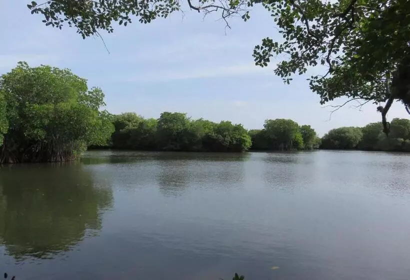 ペンション Beach Lagoon Guesthouse