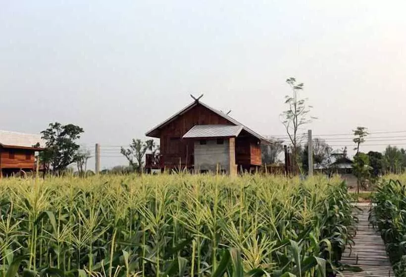 ペンション Chiang Dao Privacy