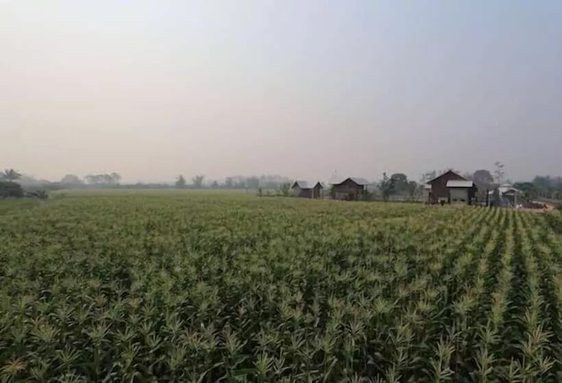 ペンション Chiang Dao Privacy