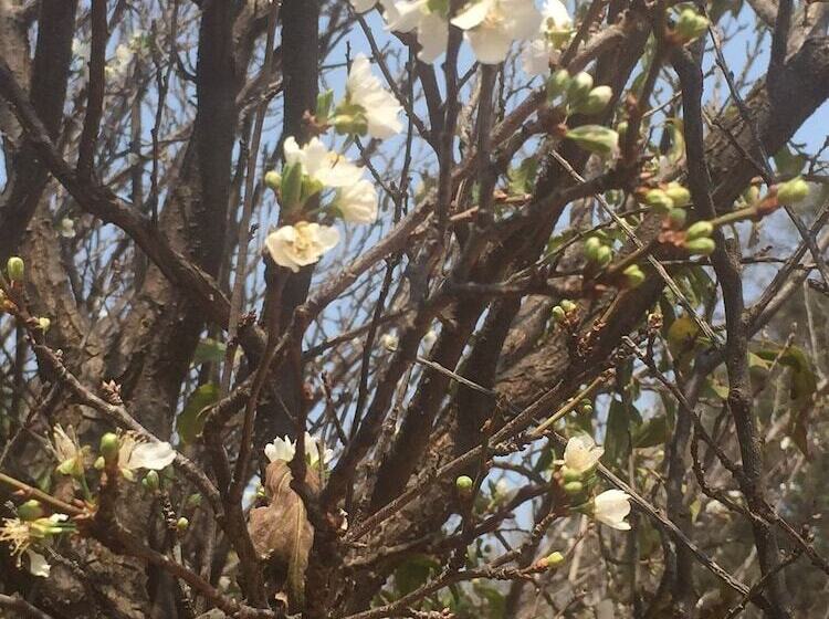 펜션 Gatz Guest House