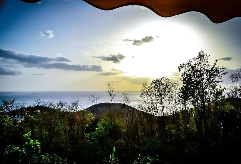 پانسیون Harmonie Tropicale