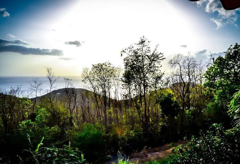 پانسیون Harmonie Tropicale