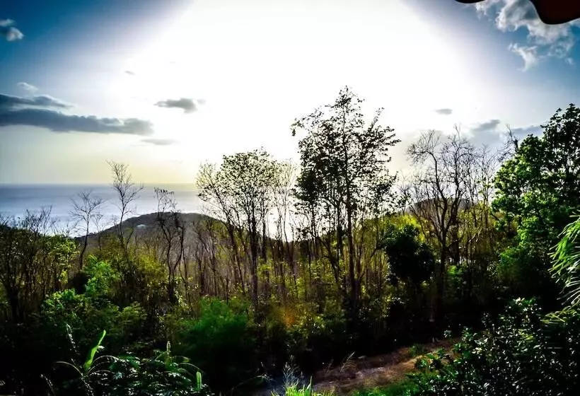 پانسیون Harmonie Tropicale