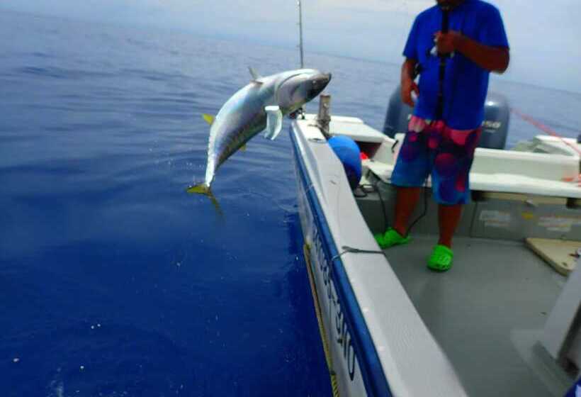 پانسیون Sea Blue