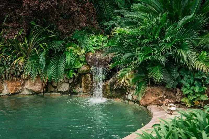 پانسیون York Lodge