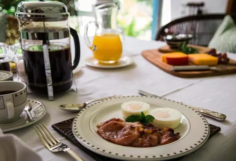 پانسیون York Lodge