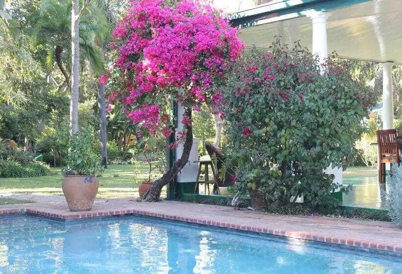 پانسیون York Lodge