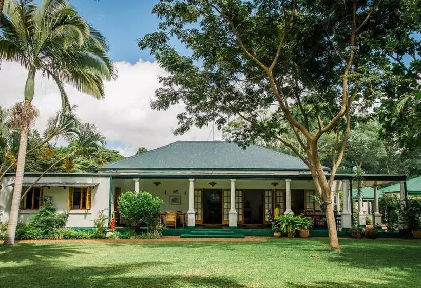 پانسیون York Lodge