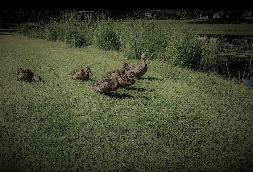 Eden Village Motel & Cottages